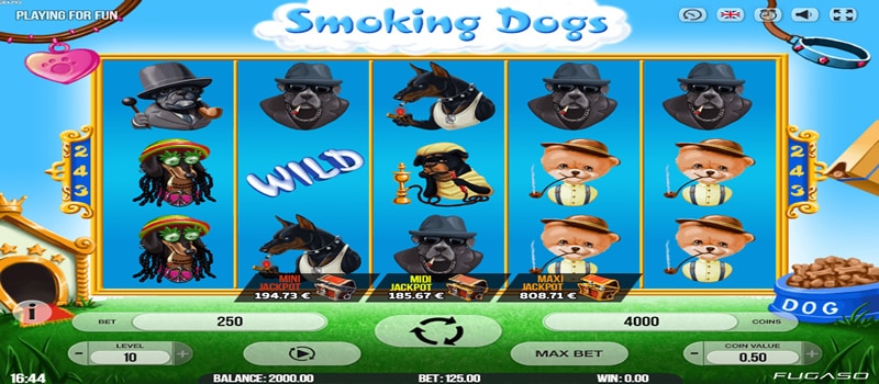 perros fumadores de jackpot